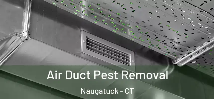  Air Duct Pest Removal Naugatuck - CT