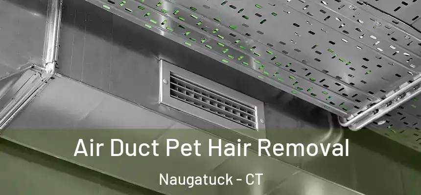 Air Duct Pet Hair Removal Naugatuck - CT