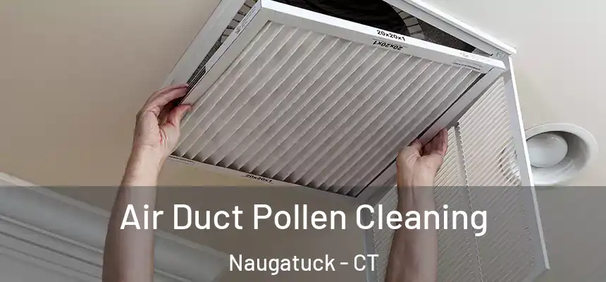  Air Duct Pollen Cleaning Naugatuck - CT