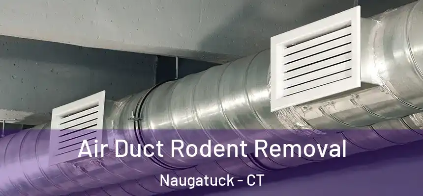  Air Duct Rodent Removal Naugatuck - CT