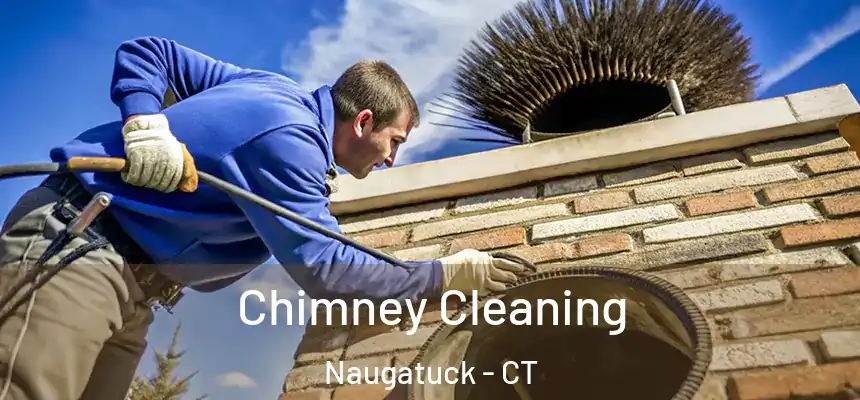  Chimney Cleaning Naugatuck - CT