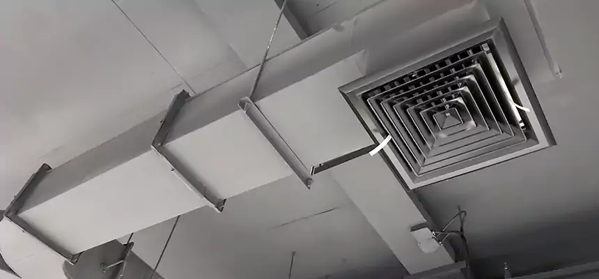 Restorative Allergy Relief Vent Cleaning – Coil, Blower & Housing Detail in Naugatuck