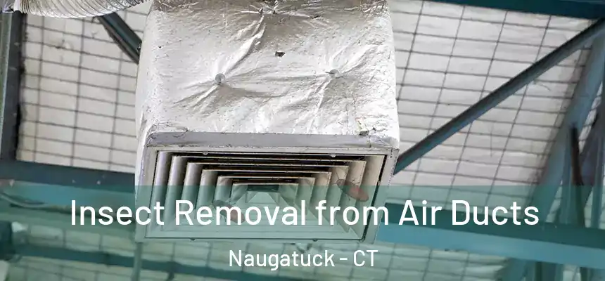  Insect Removal from Air Ducts Naugatuck - CT