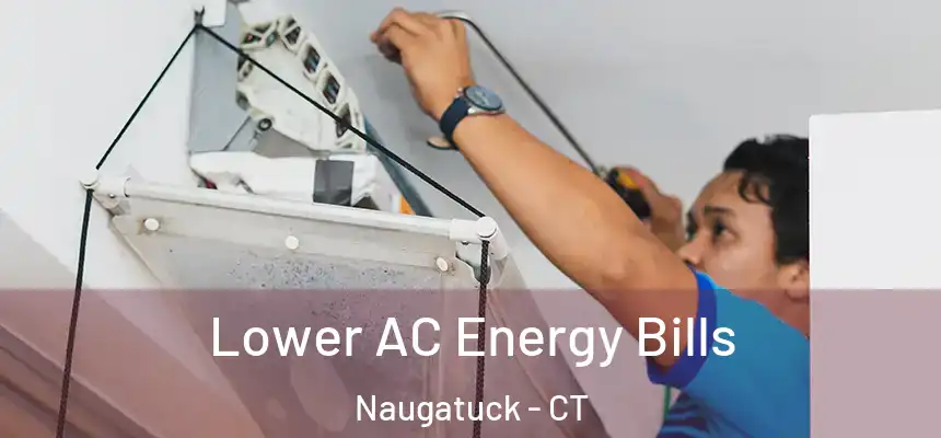  Lower AC Energy Bills Naugatuck - CT