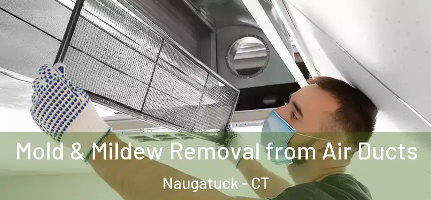  Mold & Mildew Removal from Air Ducts Naugatuck - CT