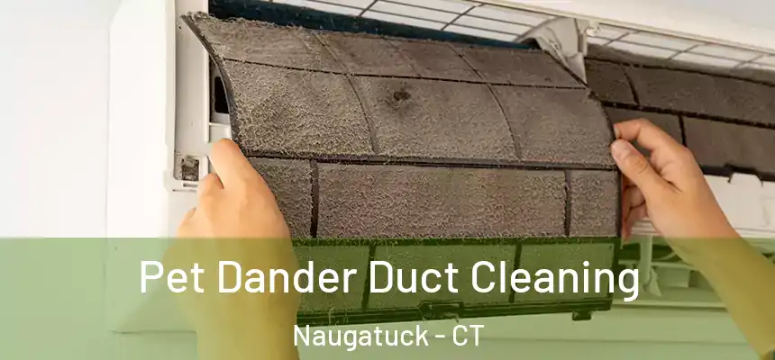  Pet Dander Duct Cleaning Naugatuck - CT