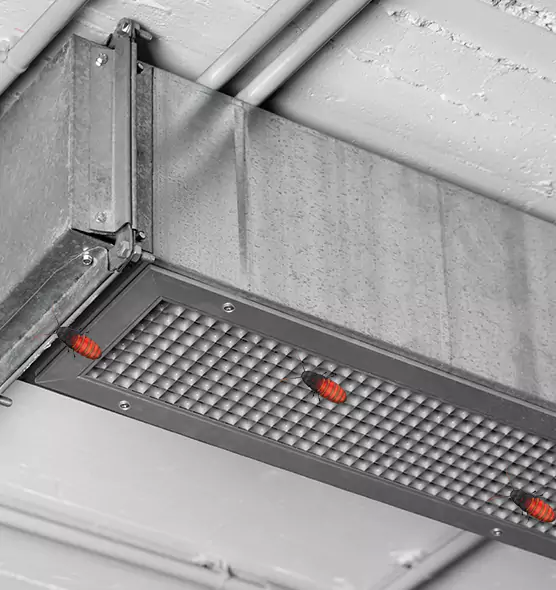 About Air Duct Cockroach Removal in Naugatuck, CT