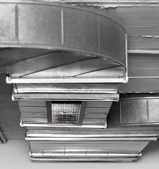 Professional Air Duct Pest Removal in Naugatuck, CT