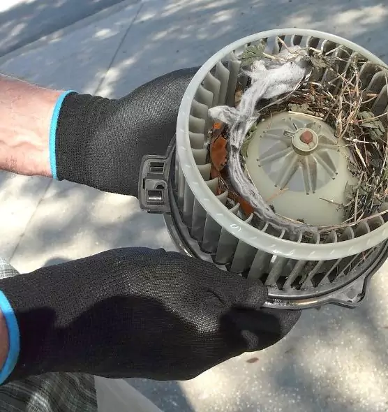 About Air Duct Rat Removal in Naugatuck, CT