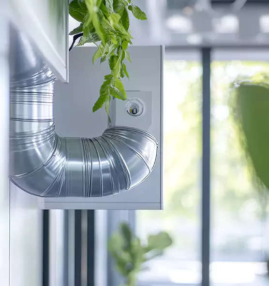 Professional Eco-Safe Dryer Vent Cleaning in Naugatuck, CT