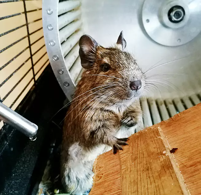 Why Homeowners & Businesses Trust Us Naugatuck, CT