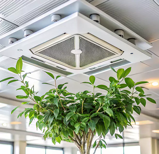 Why Homeowners & Businesses Trust Us in Naugatuck, CT?