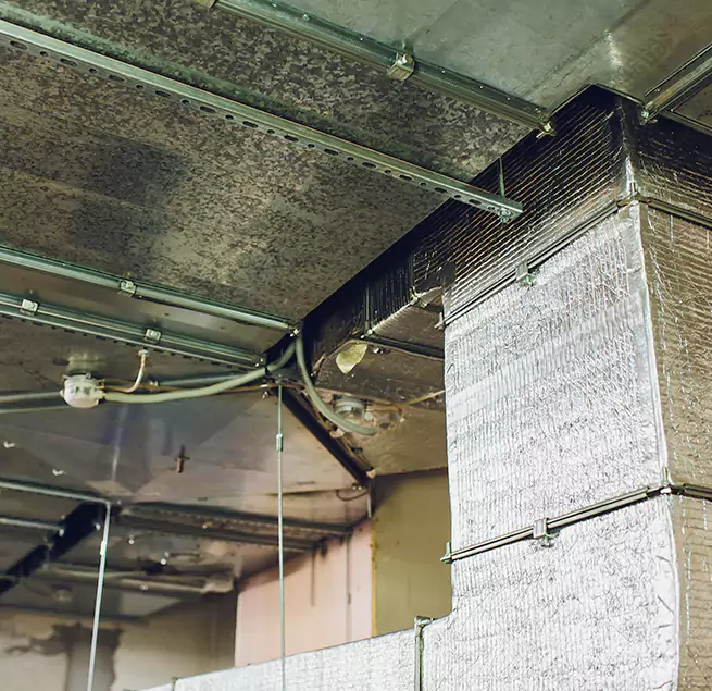 Why Homeowners & Businesses Trust Us in Naugatuck, CT?